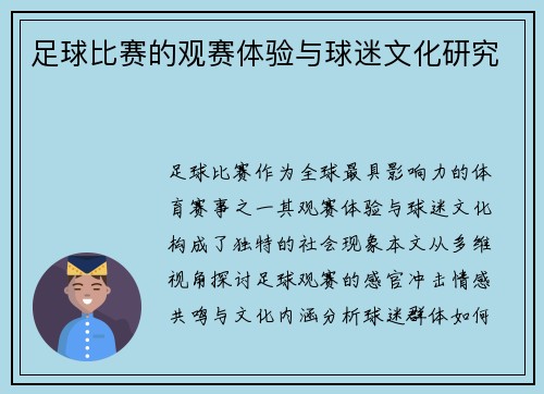 足球比赛的观赛体验与球迷文化研究